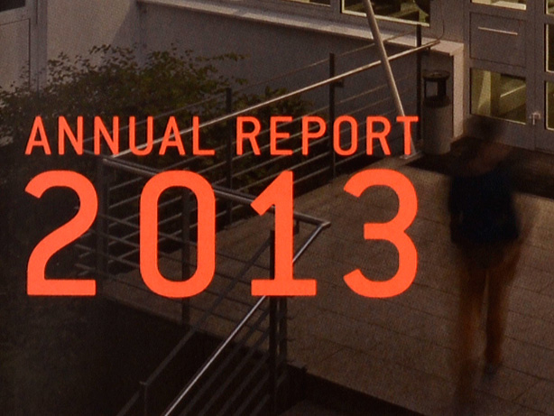 Fraunhofer ISI 2013, Jahresbericht